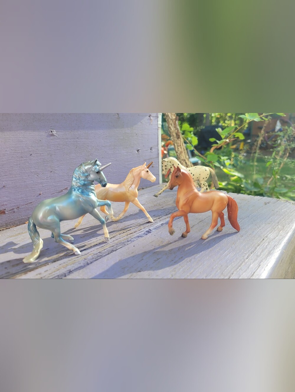 Breyer Horse Figurines Storage Case Horse Girl Equestrian Toys